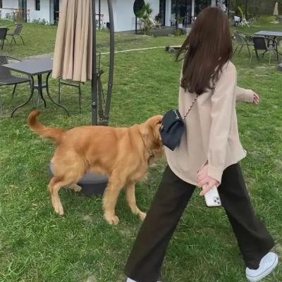 黄金搭档:千金杀手